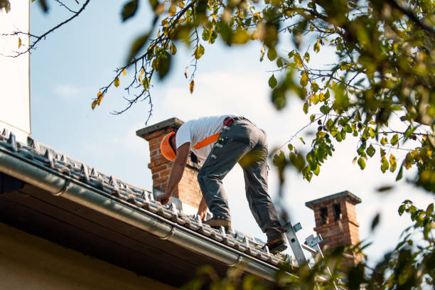 Roof Insulation in New London, MN